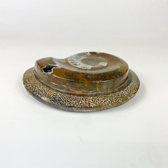 Polished Ammonite Fossil Brown Paperweight In Matrix 5.5" - Picture 5 of 6
